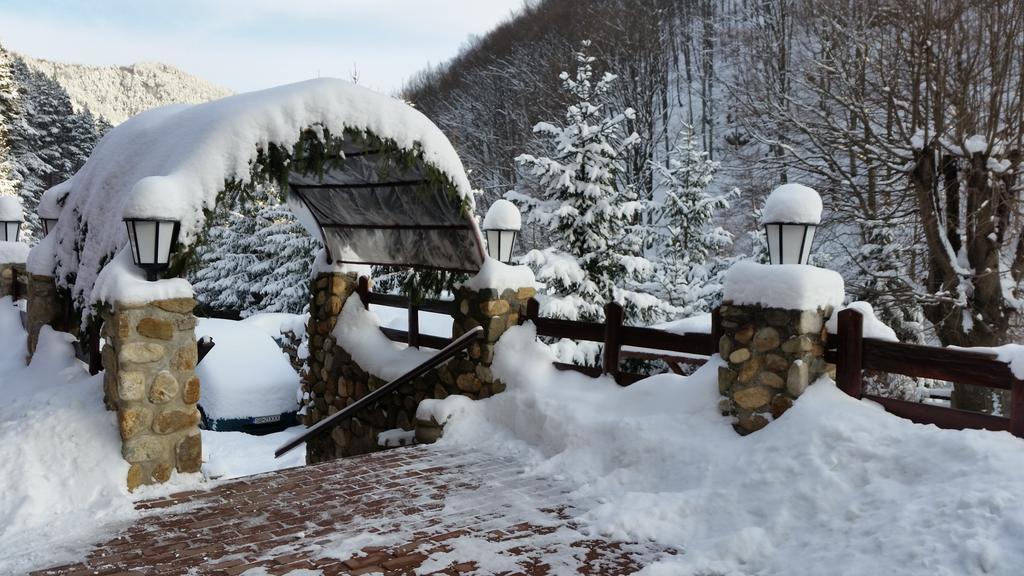 Pension Curmatura Stezii เรอชินาริ ภายนอก รูปภาพ