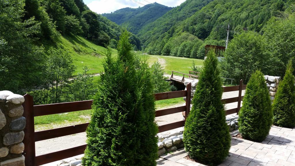 Pension Curmatura Stezii เรอชินาริ ภายนอก รูปภาพ